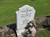 image of grave number 148007